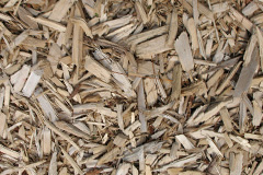 biomass boilers Plymstock